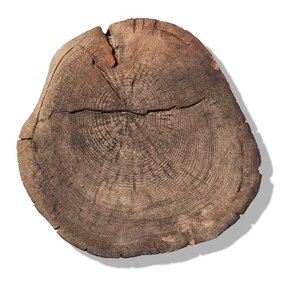 Betónový Nášlapný Kameň LYKO priemer 30-40 cm, 3-4cm, sivo-hnedá imitácia dreva