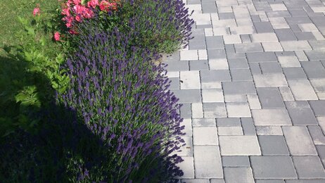 Dlažba BRENDA 6cm mix Piano