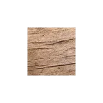 dub svetlý