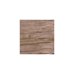 dub tmavý