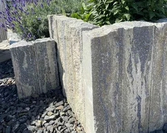 Palisády