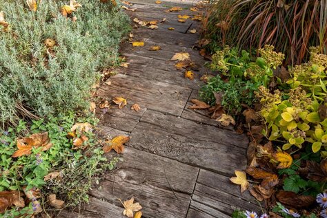 Platňa Línia dreva - doska Imitácia dub 75x25x5cm dub tmavý