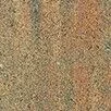 sahara