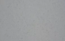 Sivý hladký