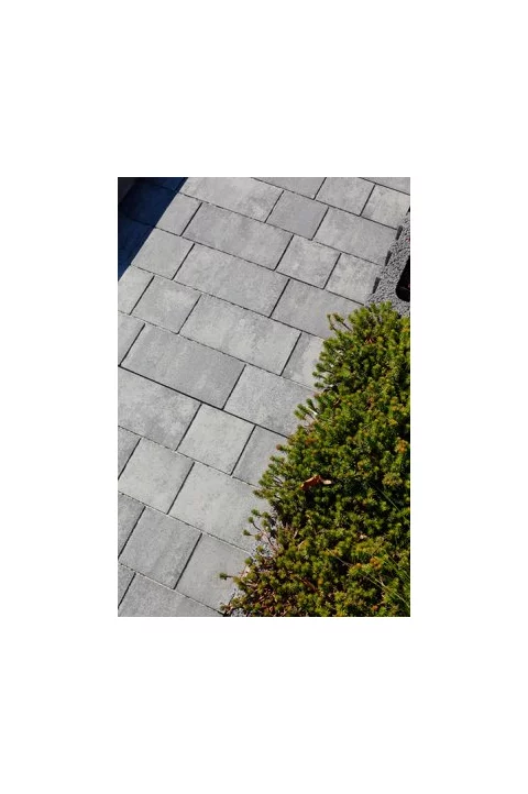 Zámková Dlažba BELISIMA 8 cm colormix brilant