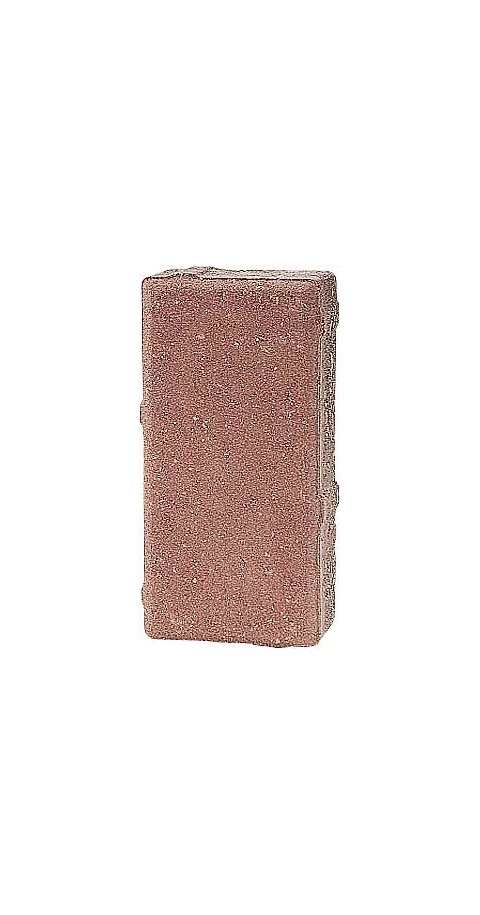 Zámková Dlažba TOP ZÓNA 20x10x6cm červená