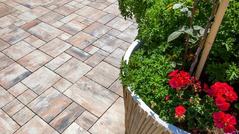 Zámková Dlažba VIA MONTANA 8cm melír Moscata