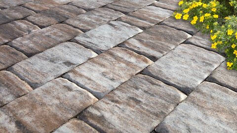 Zámková Dlažba VIA ROMA II. 24x16x8 cm melír Capua