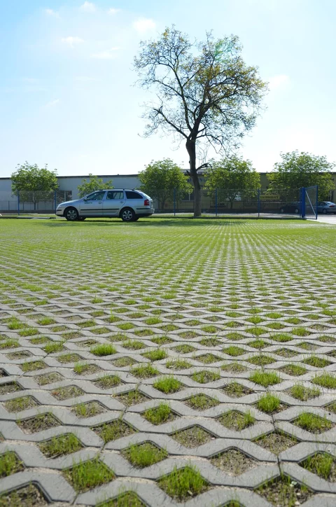 Zatrávňovacia dlažba TBX 10 cm sivá