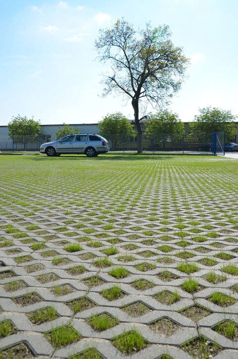 Zatrávňovacia dlažba TBX 10 cm sivá